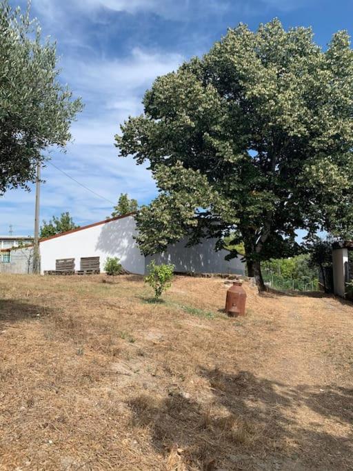 Casa Da Oliveira Villa Нелас Екстериор снимка