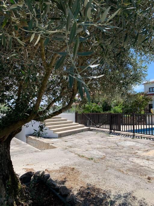 Casa Da Oliveira Villa Нелас Екстериор снимка